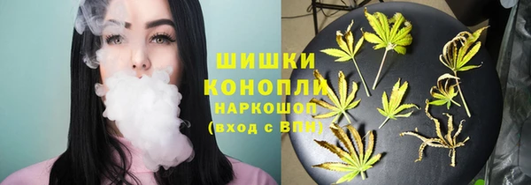 индика Магас
