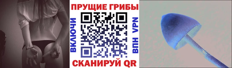цена наркотик  Щигры  Галлюциногенные грибы мухоморы 