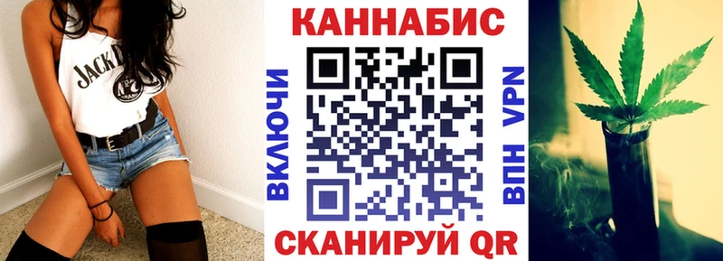 Конопля сатива  мега ссылка  Щигры 
